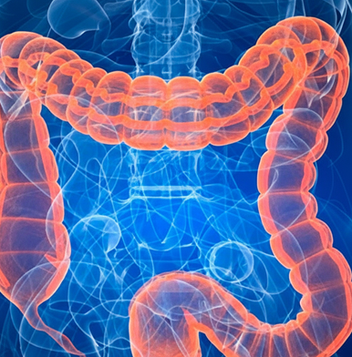 image 2025 10 22T103033.937